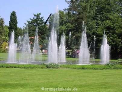 Vogelpark Walsrode (142).JPG